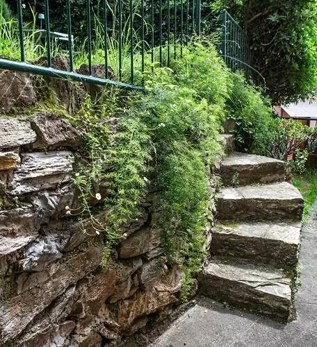 Apartment Vista Mare Paradiso A Rapallo